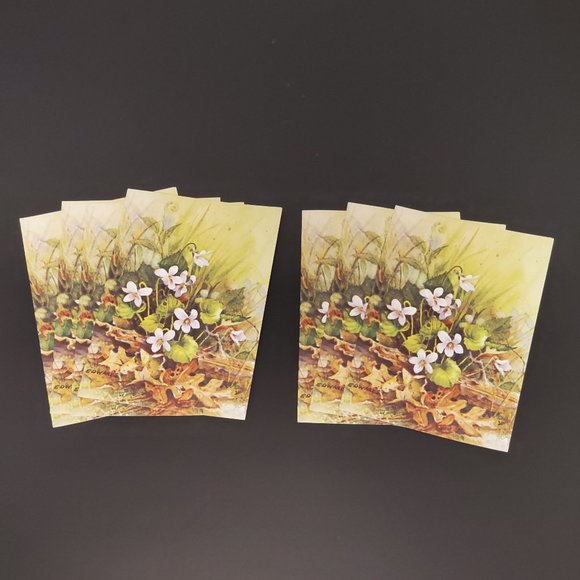 Greeting Cards (7) Red Farm Studio White Violets - Picture 2 of 7